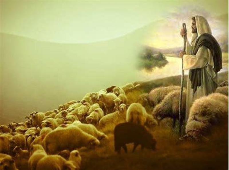 God's Loving Care for Us